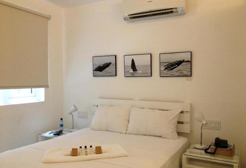 Отель Gatto Blanco Party