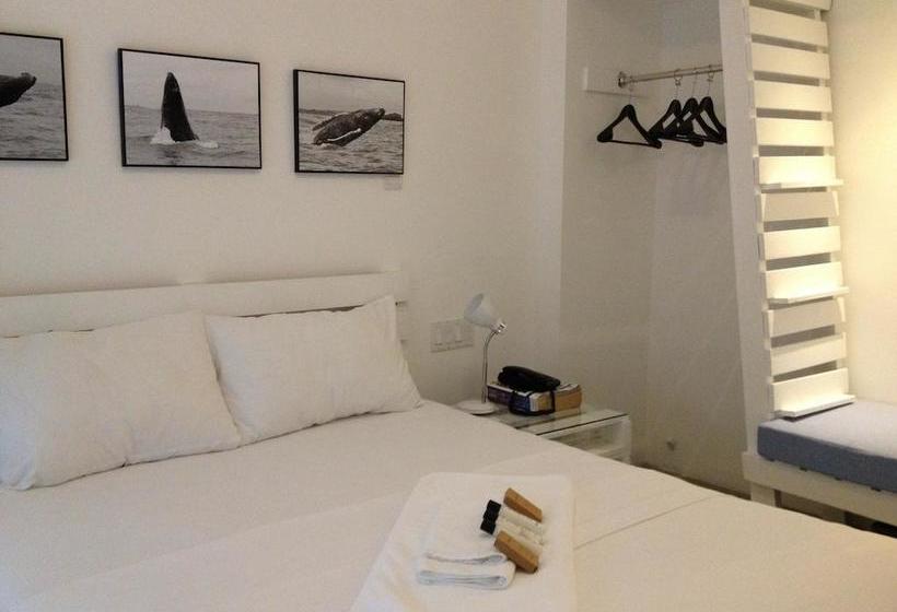 Отель Gatto Blanco Party