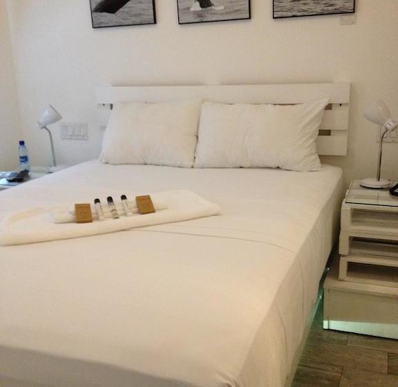 Отель Gatto Blanco Party