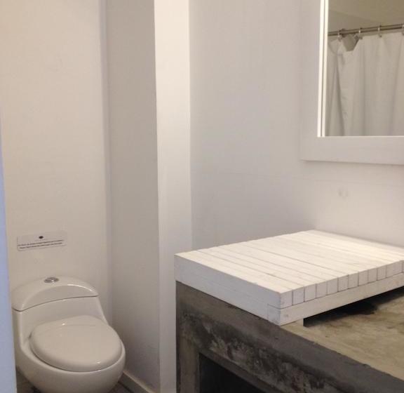 Отель Gatto Blanco Party