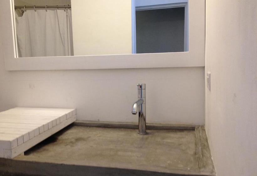 Отель Gatto Blanco Party