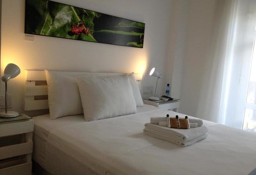 Отель Gatto Blanco Party