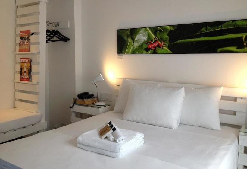 Отель Gatto Blanco Party