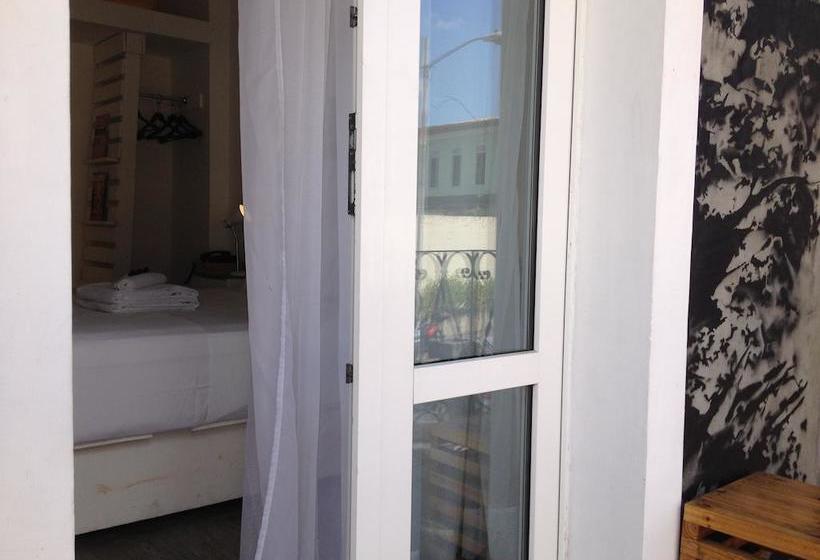 Отель Gatto Blanco Party