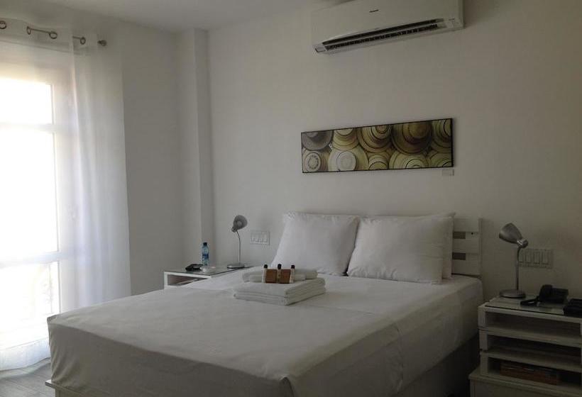 Отель Gatto Blanco Party