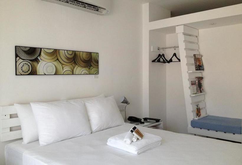 Отель Gatto Blanco Party