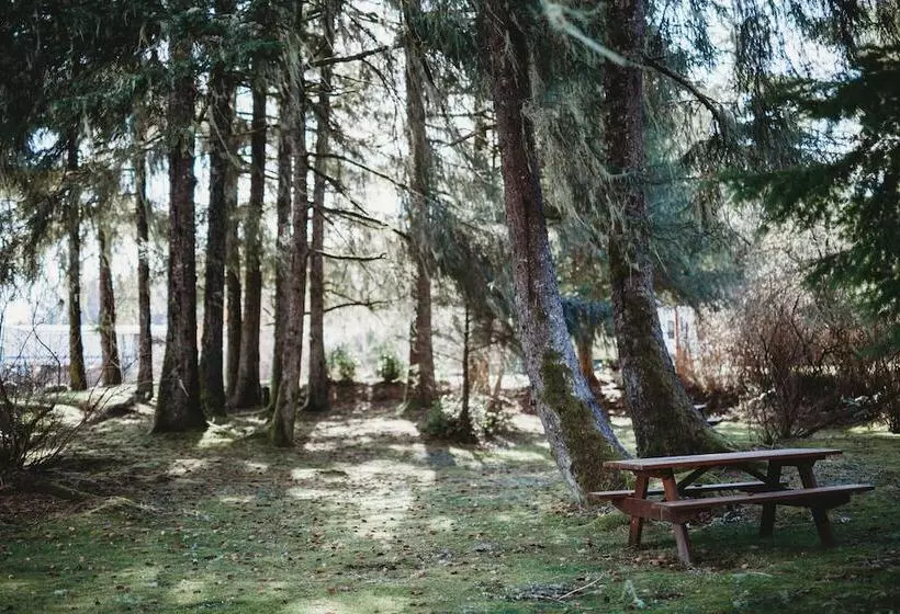 مُتل Port Hardy Cabins