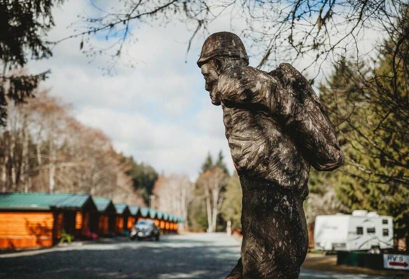 فندق على الطريق Port Hardy Cabins