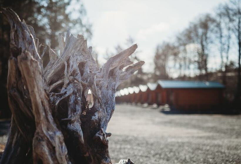 فندق على الطريق Port Hardy Cabins