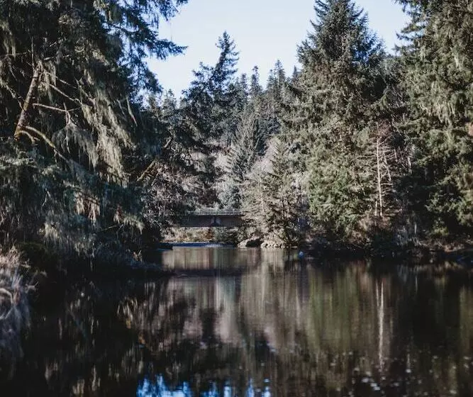 مُتل Port Hardy Cabins