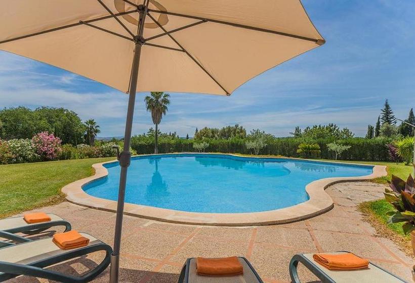 Costa Elvira 13957/2015