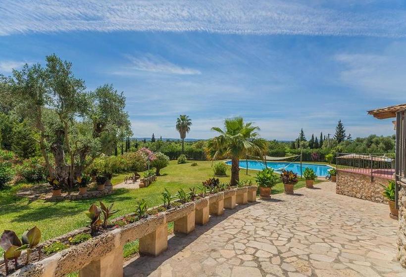 Costa Elvira 13957/2015