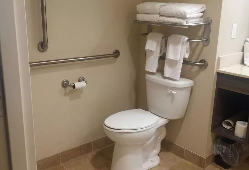 Best Western Plus Centralia Hotel & Suites