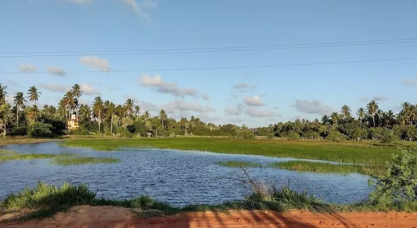 Hotelli Hawaii Flats