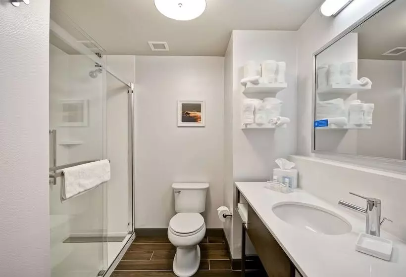 Hotelli Hampton Inn Livonia Detroit