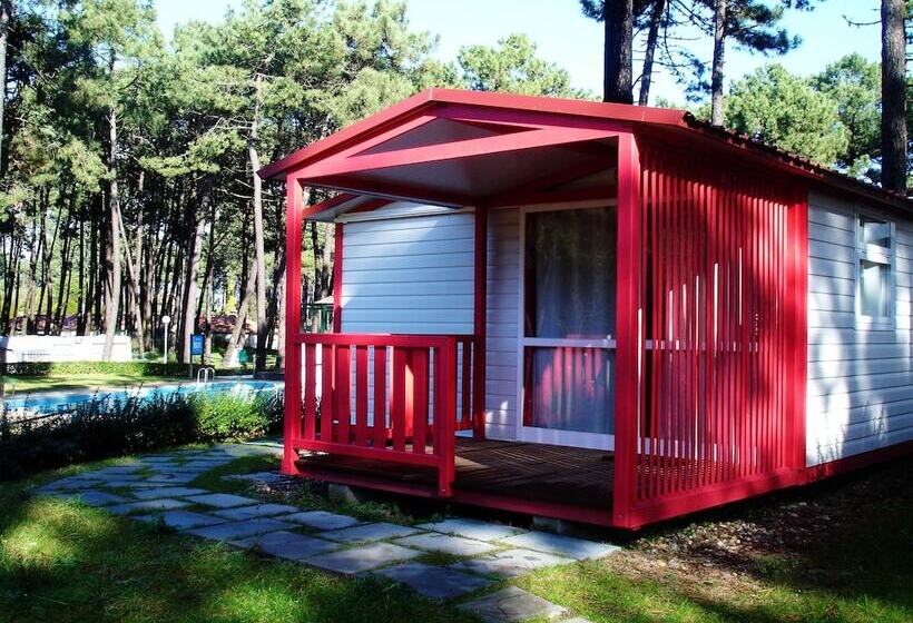 هتل Parque De Campismo Orbitur Viana Do Castelo