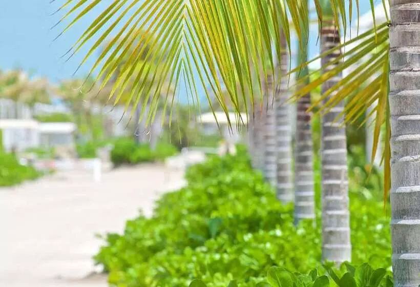 Mahogany Bay Resort & Beach Club, Curio Collection By Hilton