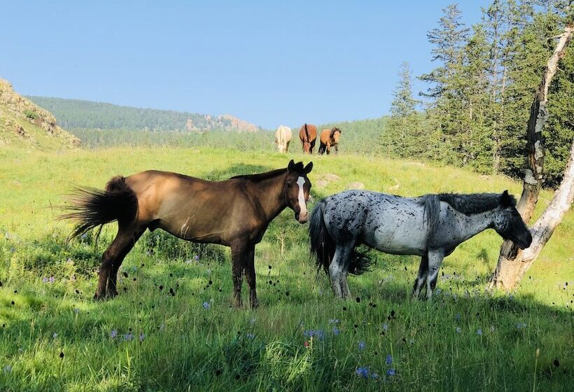 ペンション Sara's Guest House