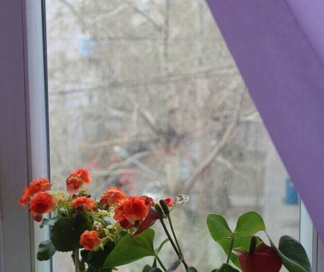 ペンション Sara's Guest House