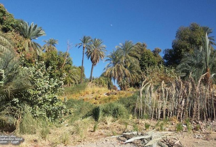 تختخواب و صبحانه Nubian Lotus