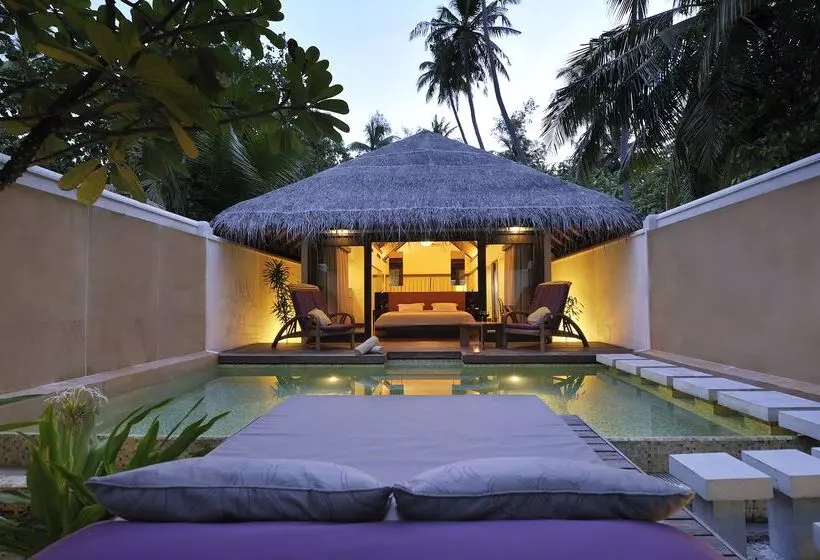 هتل Coco Bodu Hithi