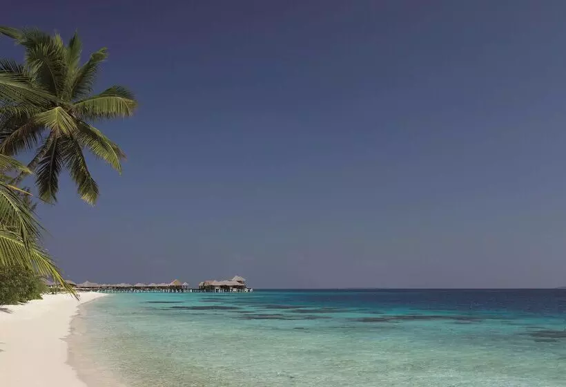 هتل Coco Bodu Hithi