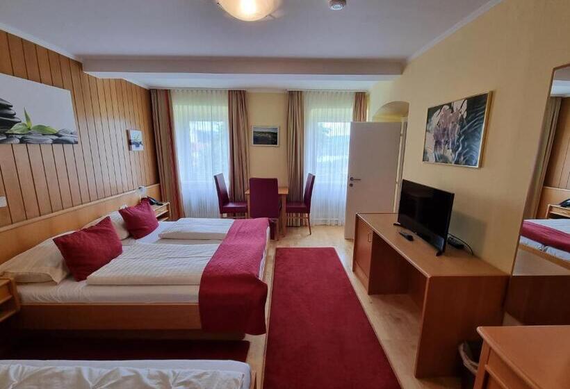 בית מלון כפרי Fasching