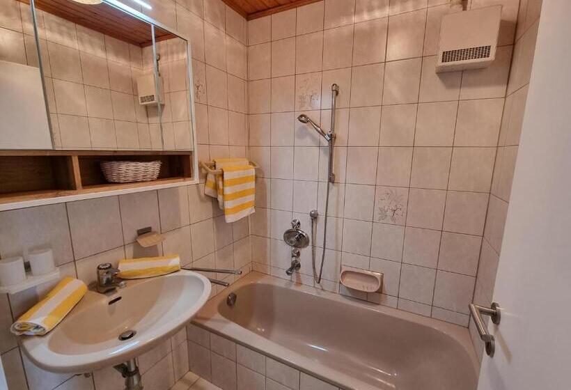 בית מלון כפרי Fasching