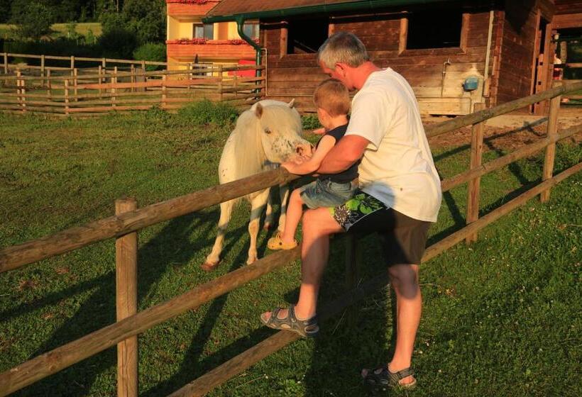 בית מלון כפרי Fasching