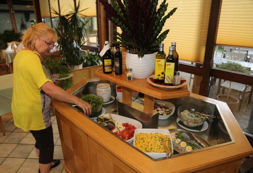 בית מלון כפרי Fasching