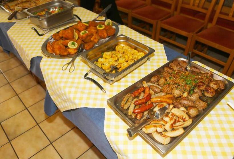 בית מלון כפרי Fasching