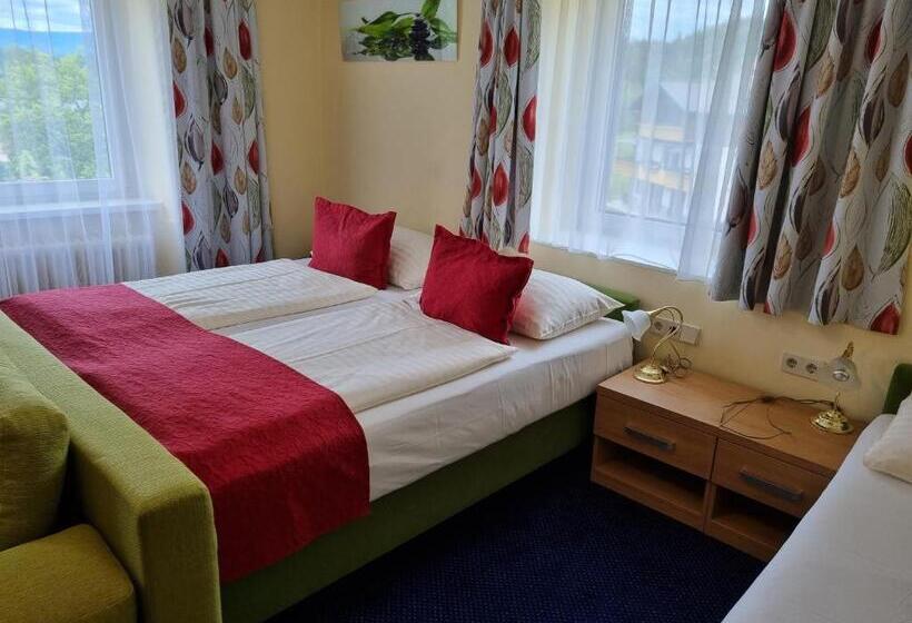 בית מלון כפרי Fasching