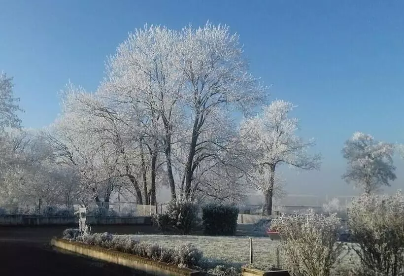 Logis Hotel Restaurant La Haie Des Vignes Séminaires Et Evènementiel