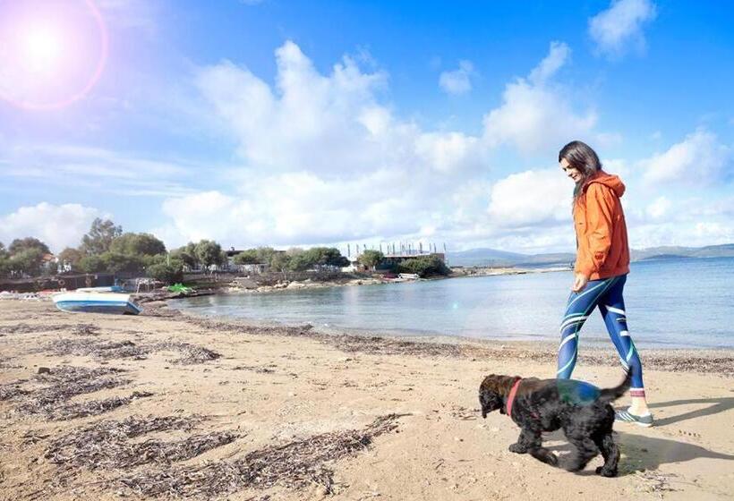 Maya Bistro Hotel & Beach