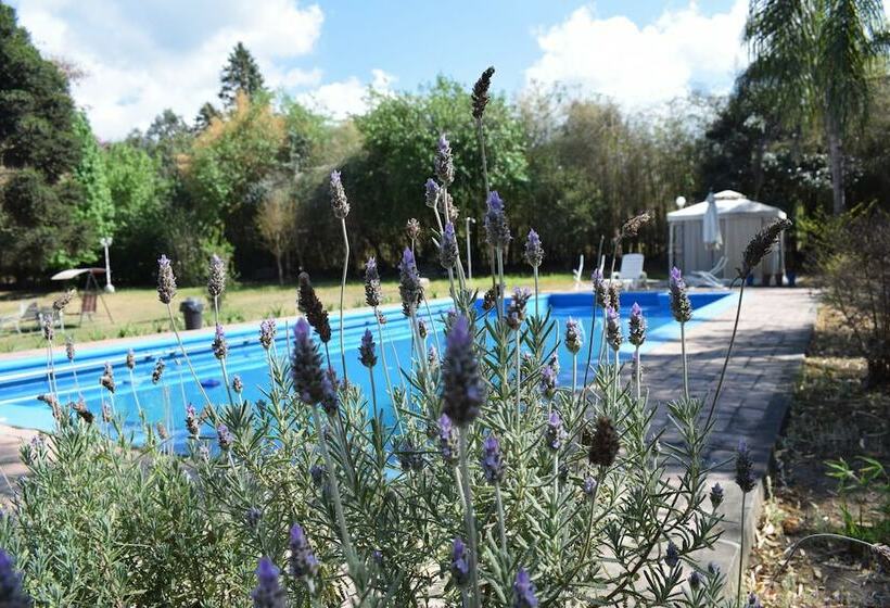 ホテル Aires De San Lorenzo B&b