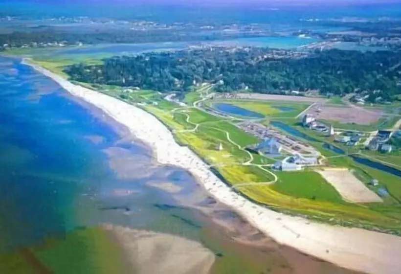 ホテル Auberge Shores Inn &
