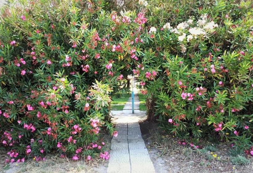 בית מלון כפרי Golden Beach