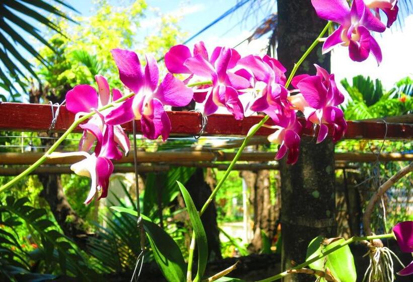 فندق Kampot Guesthouse