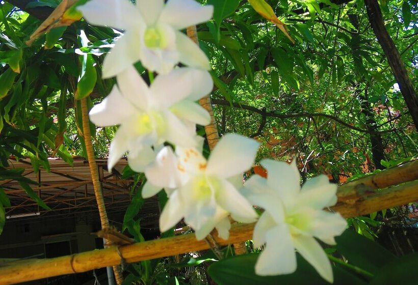 فندق Kampot Guesthouse