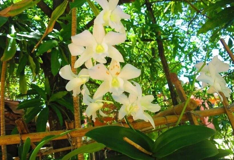 فندق Kampot Guesthouse