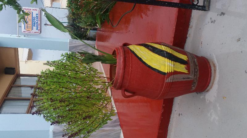 בית מלון כפרי Proto House