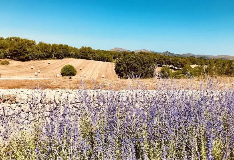 هتل روستایی Finca Sestelrica