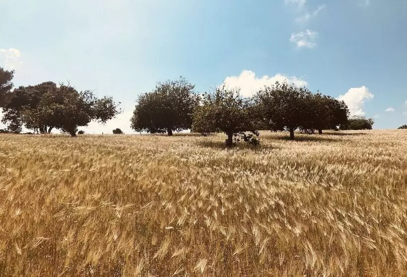 هتل روستایی Finca Sestelrica