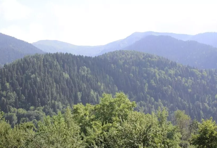 هاستل Ecohouse Svaneti