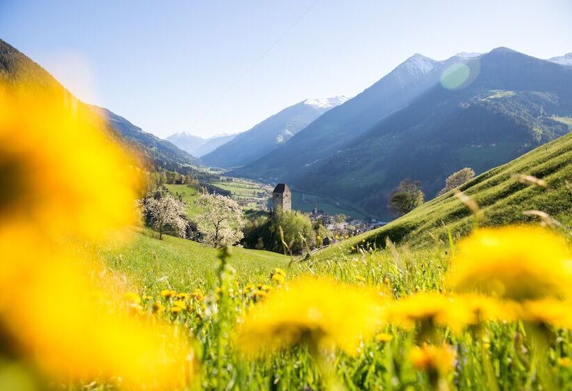 Отель Bad Fallenbach