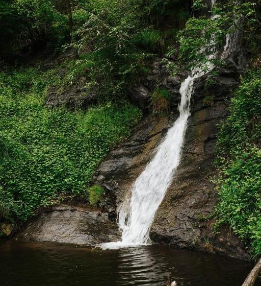 Отель Bad Fallenbach