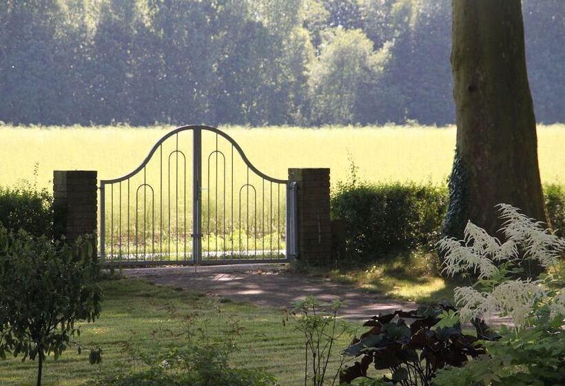 호텔 Gastehaus Alte Schule