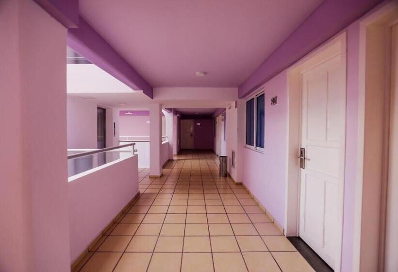 فندق Kavia Cancun