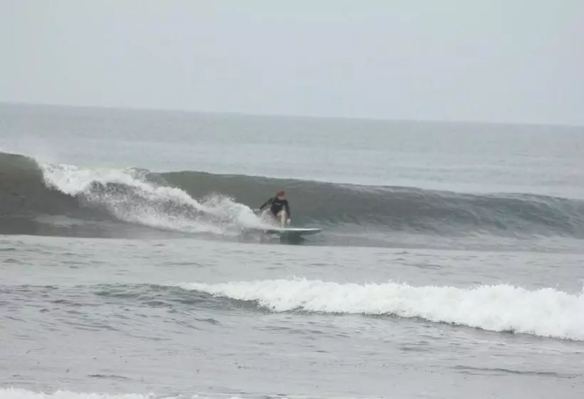 ホテル Perico Azul & Surf Camp