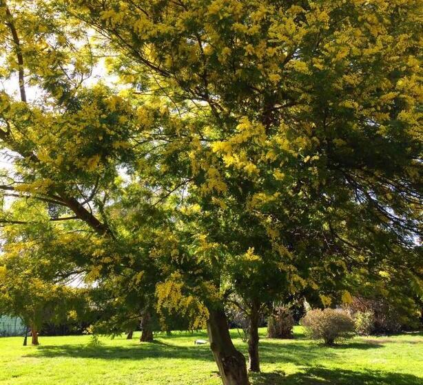 هتل روستایی Boma Countryhouse